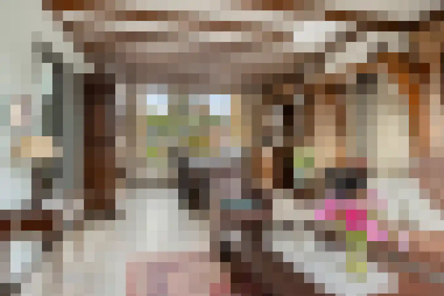 Spoordonkseweg 86 Oirschot thumbnail 9