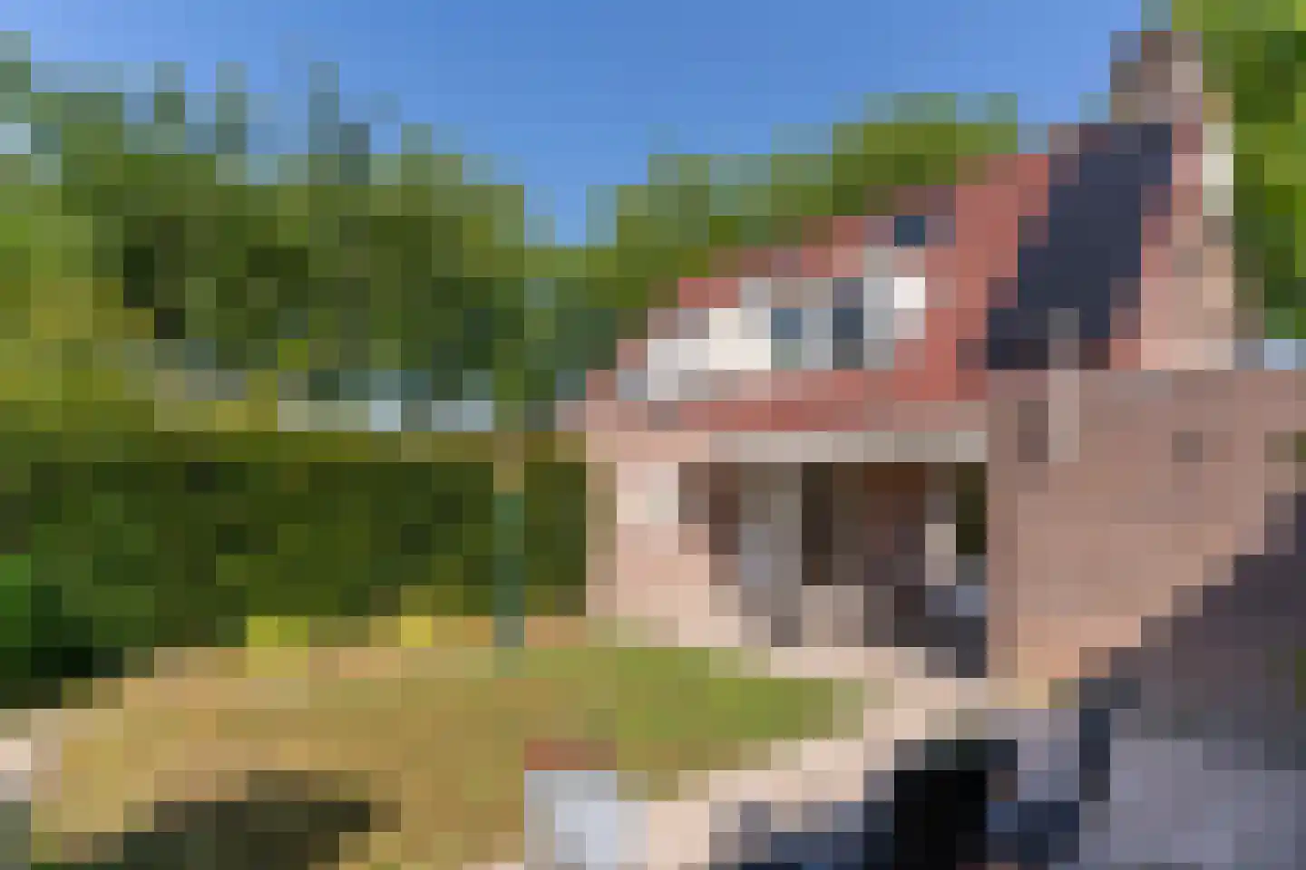 Spoorhaag 34 Houten thumbnail 18