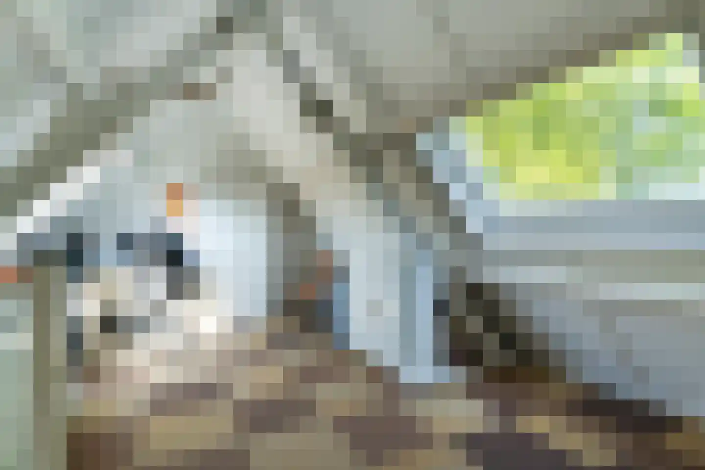 Spoorhaag 34 Houten thumbnail 29