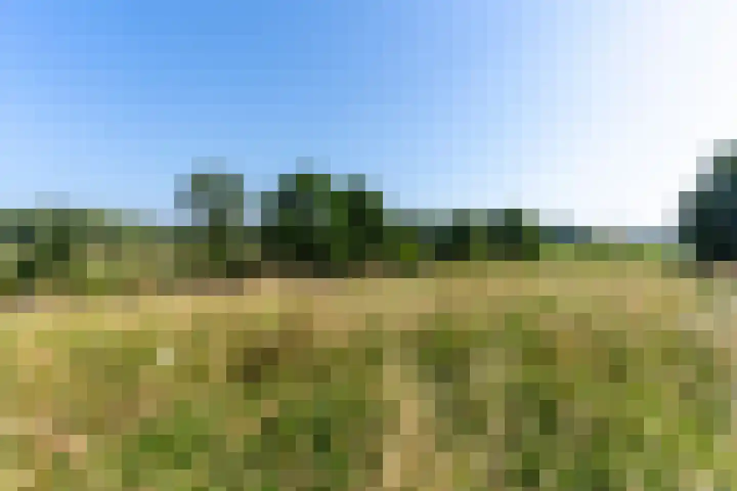 Spoorhaag 34 Houten thumbnail 39