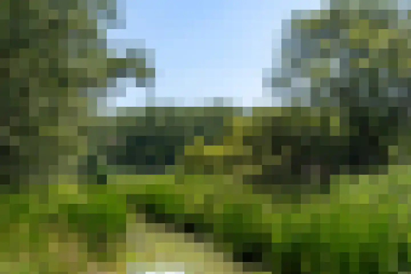 Spoorhaag 34 Houten thumbnail 42