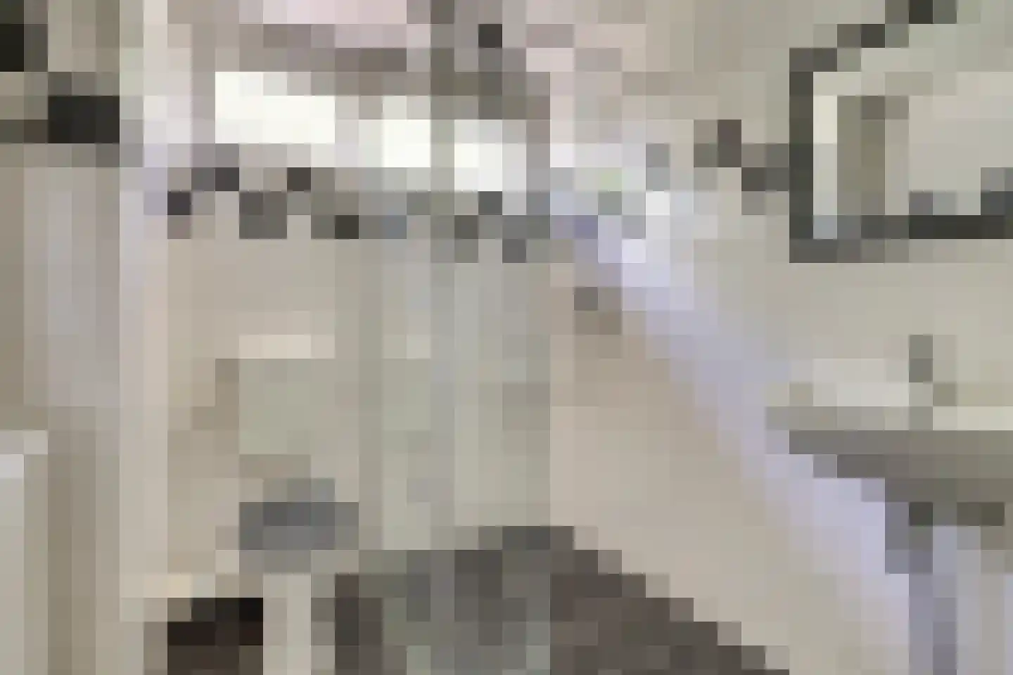 Spoorhaag 4 Houten thumbnail 20