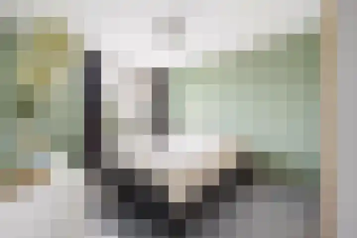 Spoorhaag 90 Houten thumbnail 18