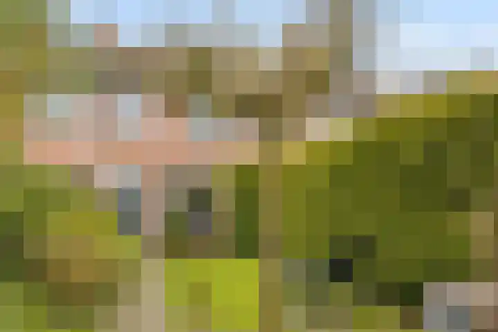Spoorhaag 90 Houten thumbnail 28