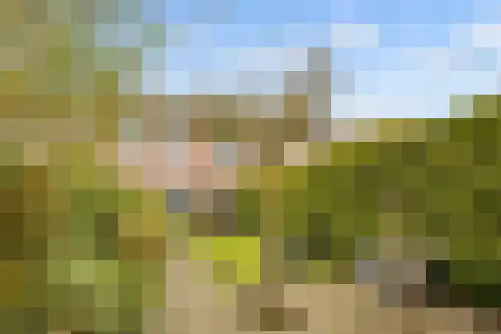 Spoorhaag 90 Houten thumbnail 29