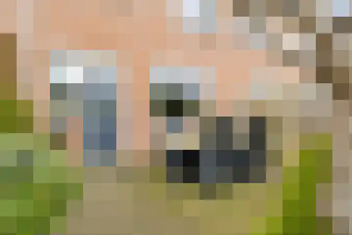 Spoorhaag 90 Houten thumbnail 30