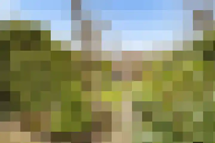 Spoorhaag 90 Houten thumbnail 31