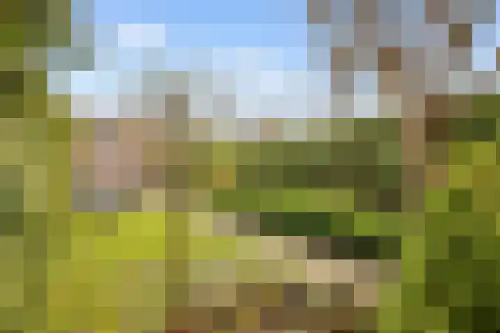 Spoorhaag 90 Houten thumbnail 32