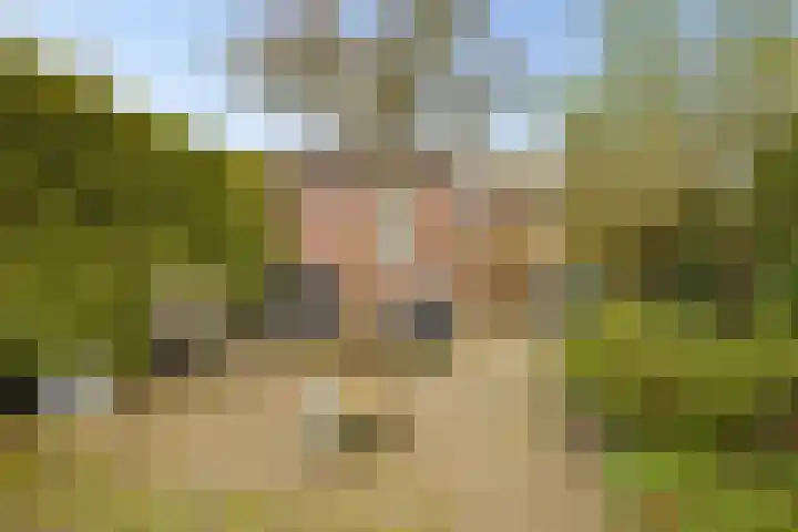 Spoorhaag 90 Houten thumbnail 33