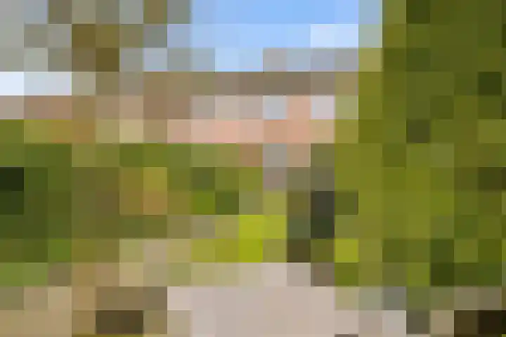 Spoorhaag 90 Houten thumbnail 34