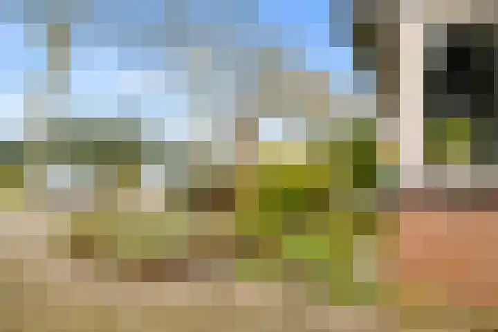 Spoorhaag 90 Houten thumbnail 36