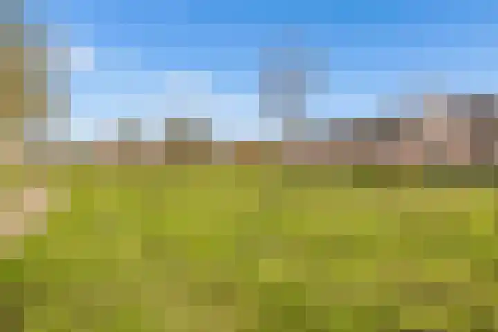 Spoorhaag 90 Houten thumbnail 38