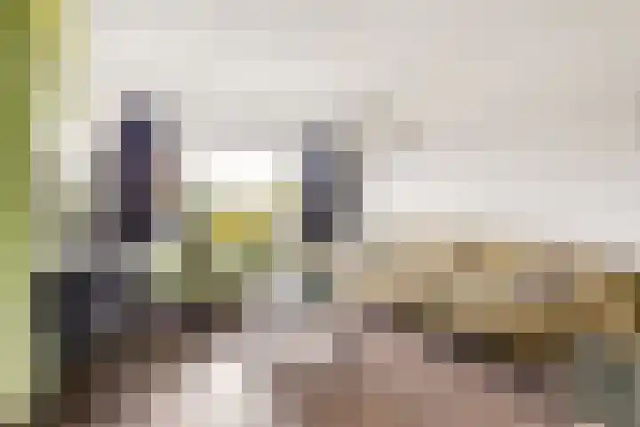 Spoorhaag 90 Houten thumbnail 4