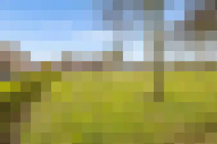 Spoorhaag 90 Houten thumbnail 40