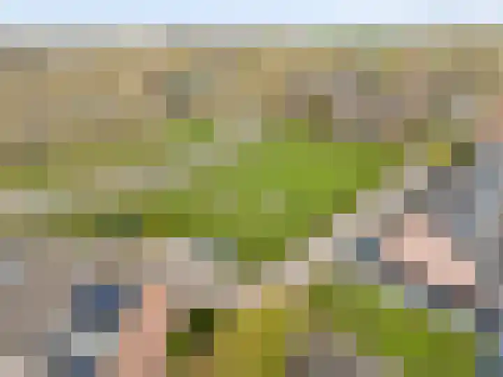 Spoorhaag 90 Houten thumbnail 41