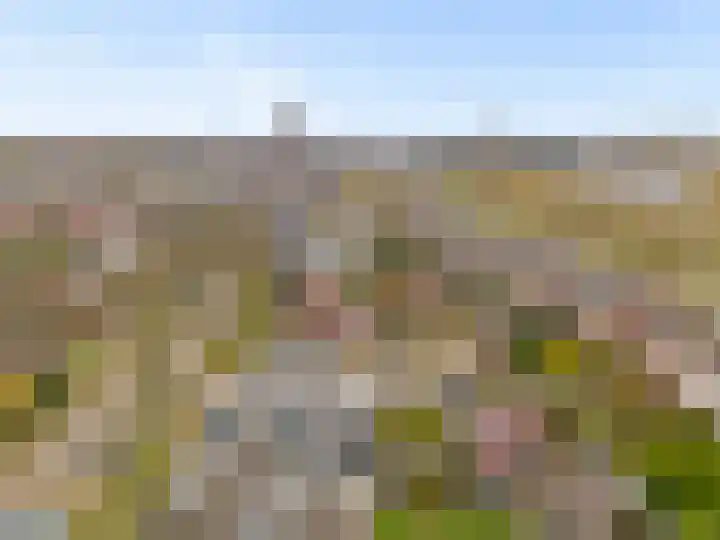 Spoorhaag 90 Houten thumbnail 42