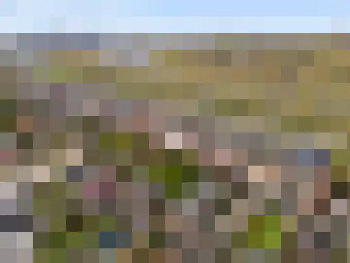 Spoorhaag 90 Houten thumbnail 43