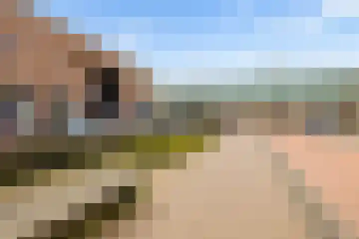 Spoorhaag 90 Houten thumbnail 46