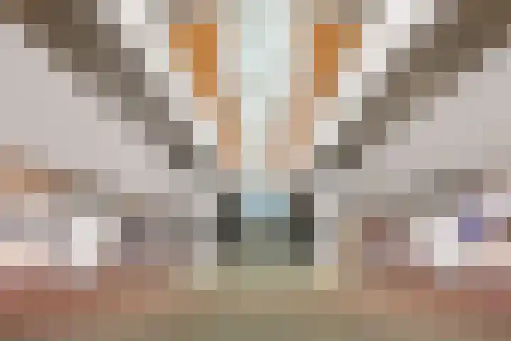 Spoorhaag 90 Houten thumbnail 48