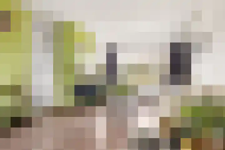 Spoorhaag 90 Houten thumbnail 5