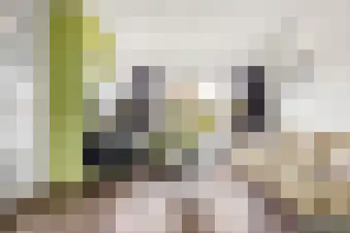 Spoorhaag 90 Houten thumbnail 7