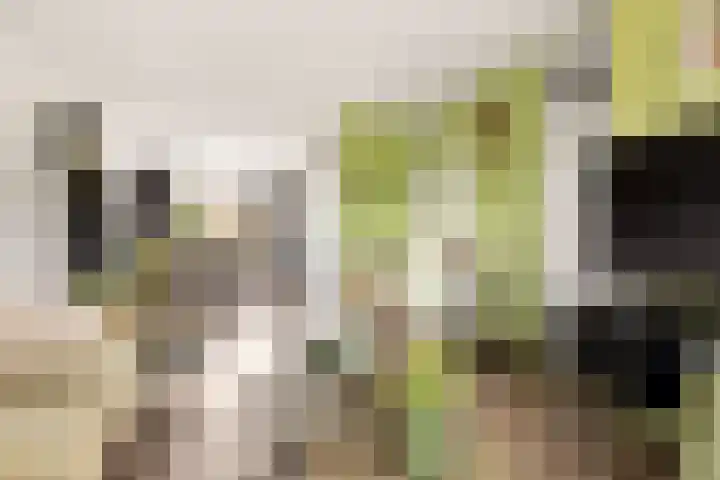 Spoorhaag 90 Houten thumbnail 8