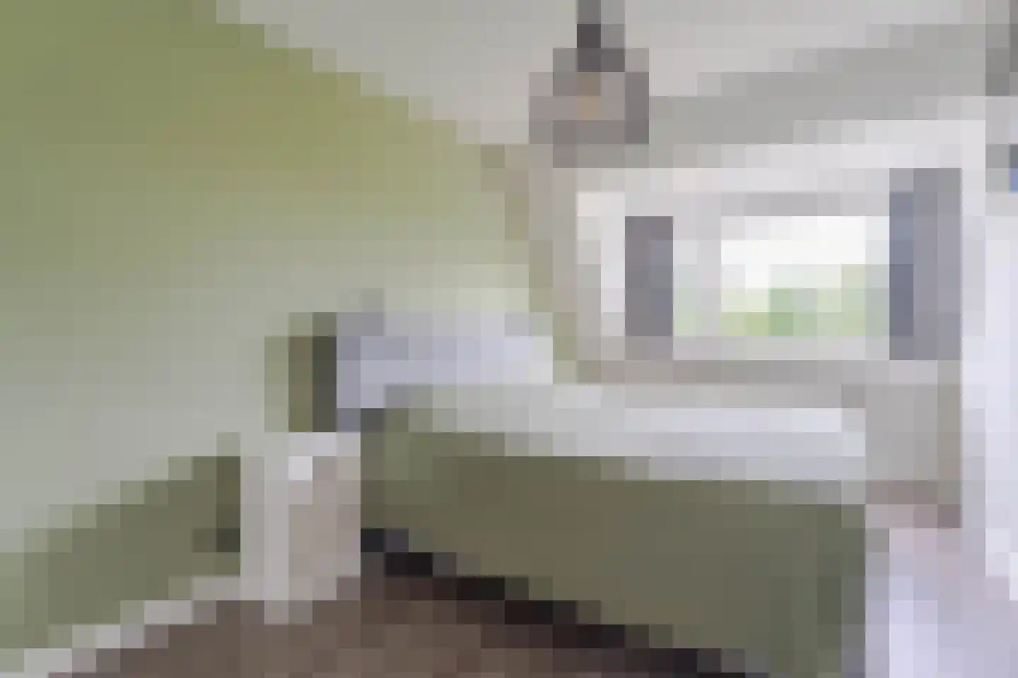Spoorhaven 14 Boskoop thumbnail 15