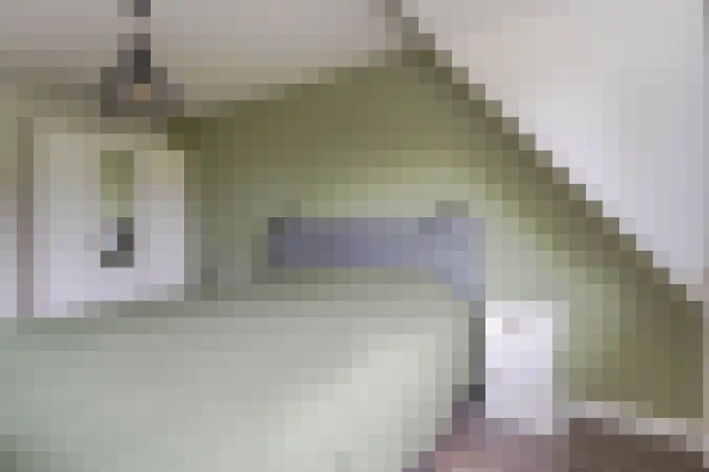 Spoorhaven 14 Boskoop thumbnail 16