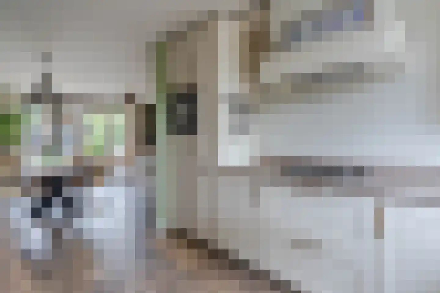 Spoorhaven 14 Boskoop thumbnail 9