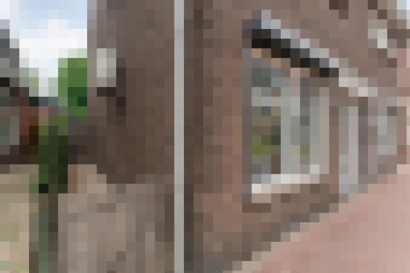 Spoorhavenstraat 22 Coevorden thumbnail 4