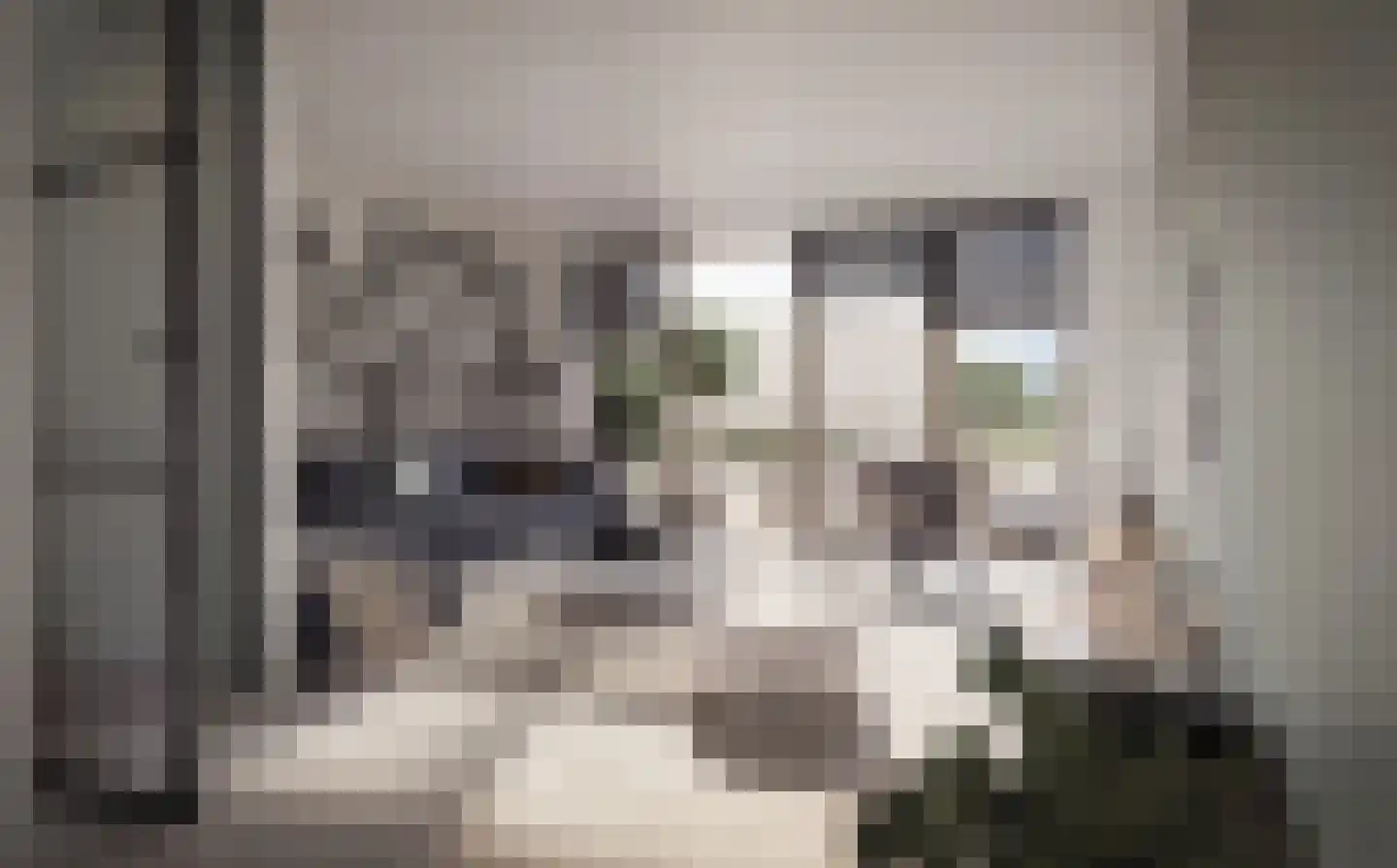 Spoorhof 17 Gouda thumbnail 4