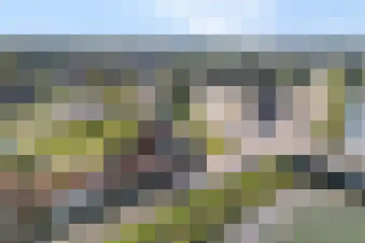 Spoorkade 6 4 Kampen thumbnail 4