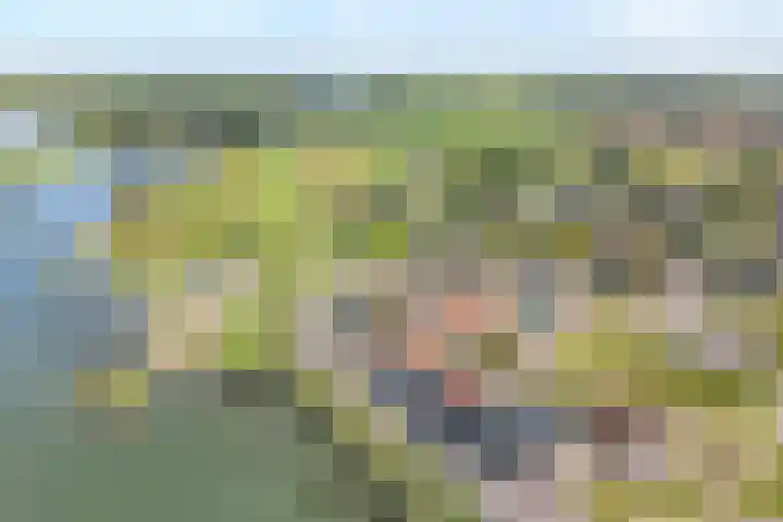Spoorkade 6 4 Kampen thumbnail 6