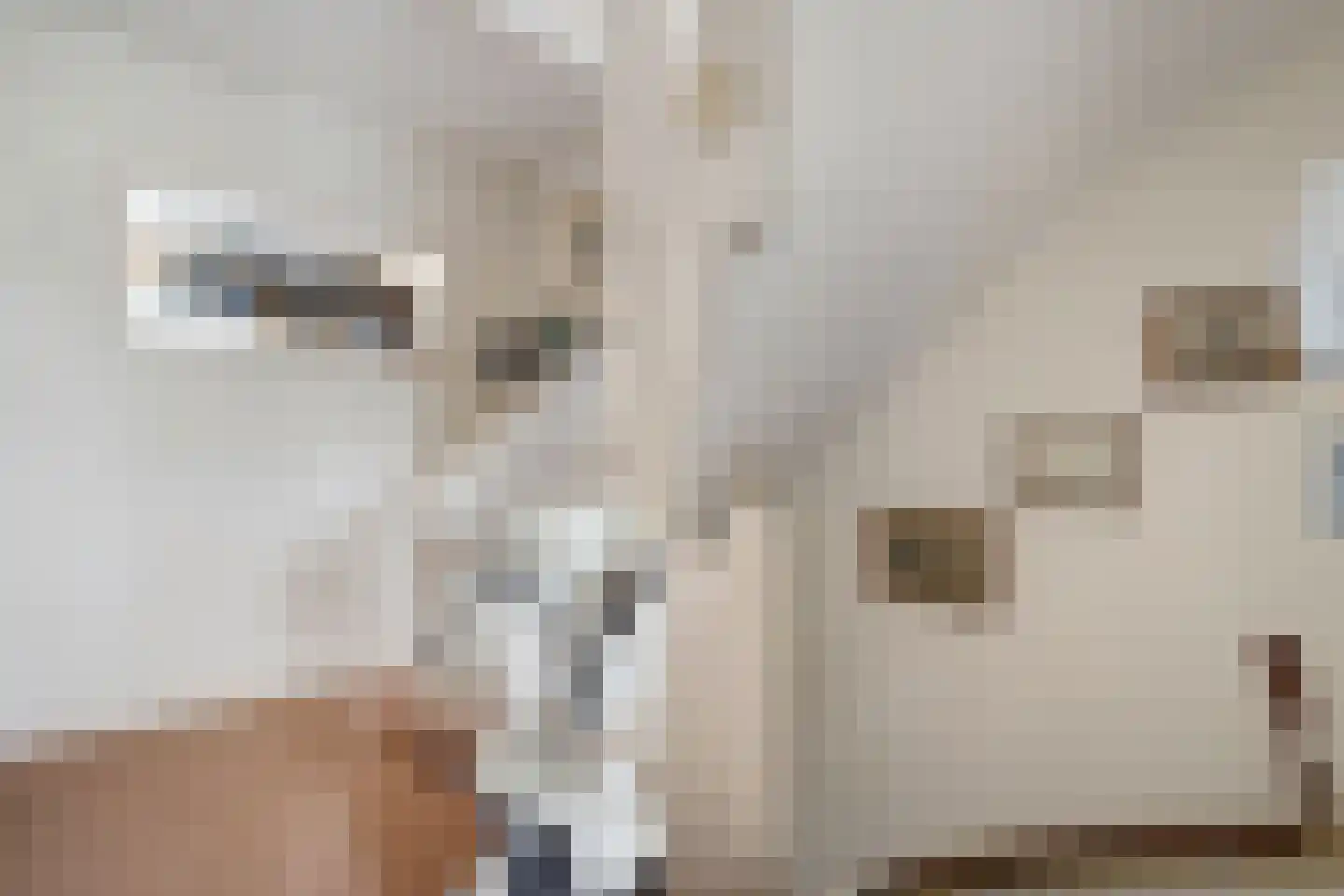 Spoorkade 8 I Kampen thumbnail 6