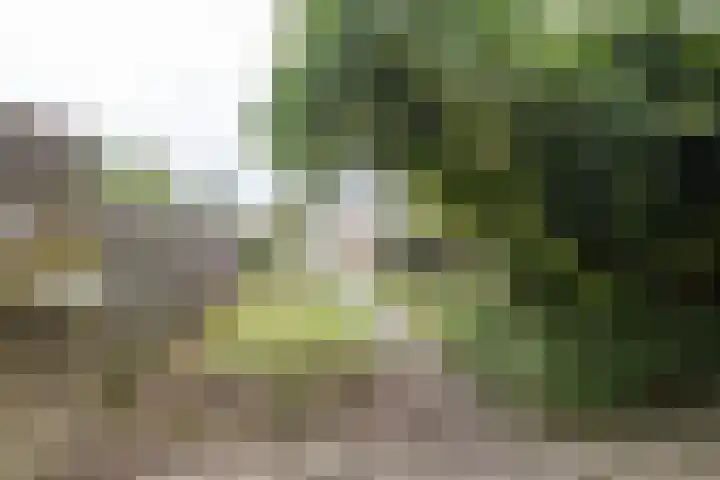 Spoorkamp 53 Reuver thumbnail 16