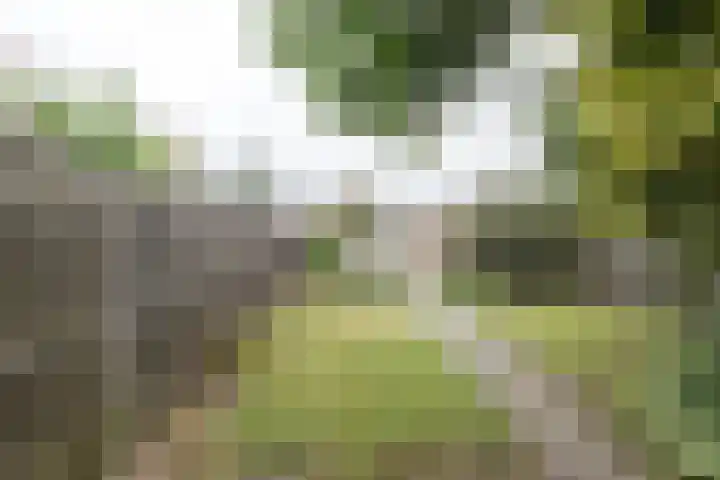 Spoorkamp 53 Reuver thumbnail 17