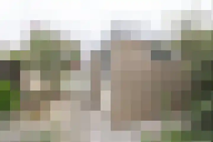 Spoorkamp 53 Reuver thumbnail 18