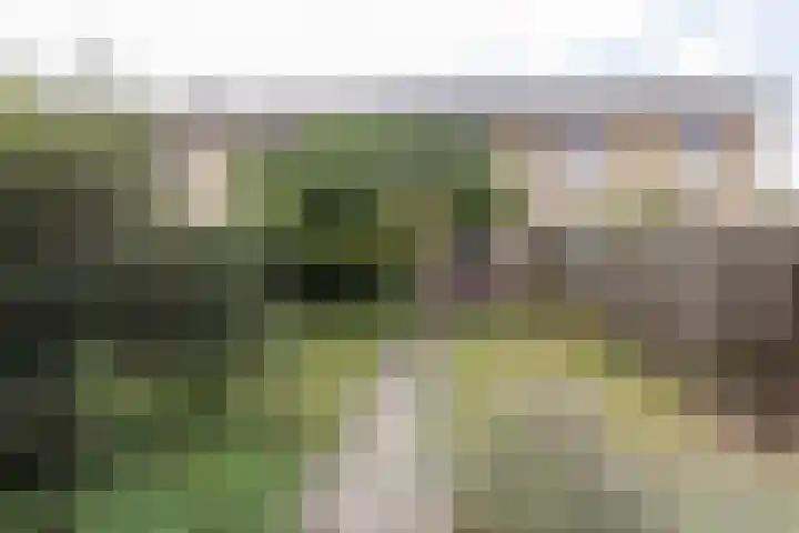 Spoorkamp 53 Reuver thumbnail 19