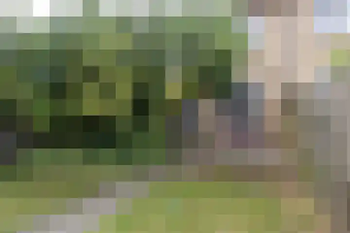 Spoorkamp 53 Reuver thumbnail 20