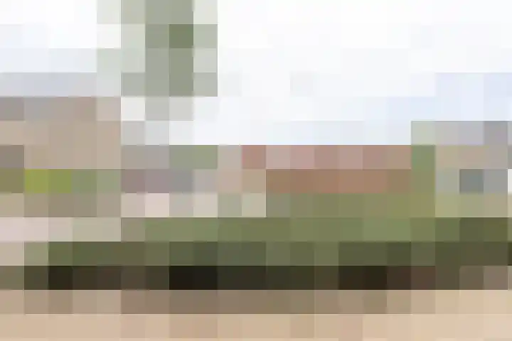 Spoorkamp 53 Reuver thumbnail 21
