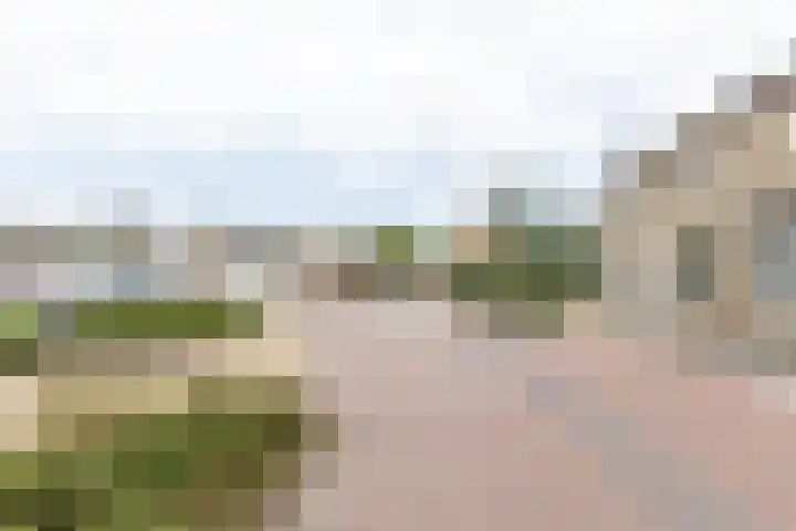 Spoorkamp 53 Reuver thumbnail 23