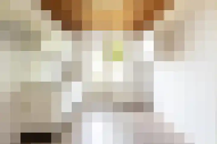 Spoorkamp 53 Reuver thumbnail 7