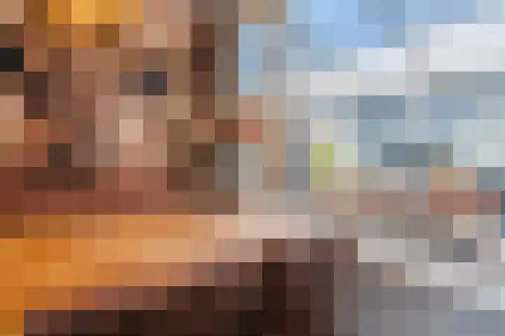 Spoorkamp 73 Reuver thumbnail 11