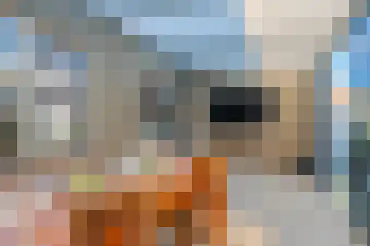Spoorkamp 73 Reuver thumbnail 20