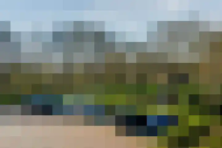 Spoorkamp 73 Reuver thumbnail 39