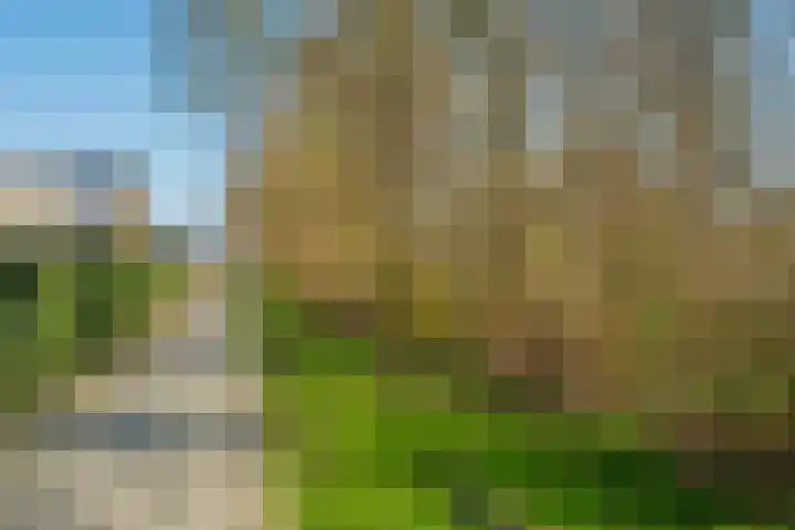 Spoorkamp 73 Reuver thumbnail 41