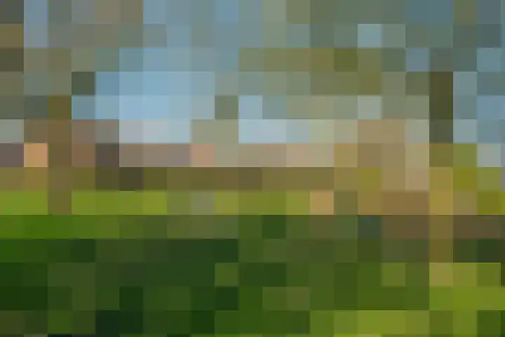 Spoorkamp 73 Reuver thumbnail 43