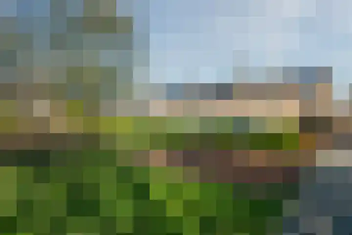 Spoorkamp 73 Reuver thumbnail 44