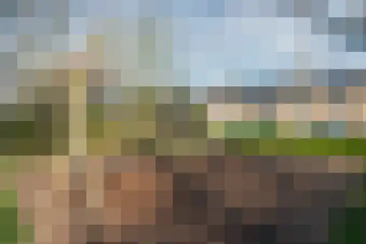 Spoorkamp 73 Reuver thumbnail 45