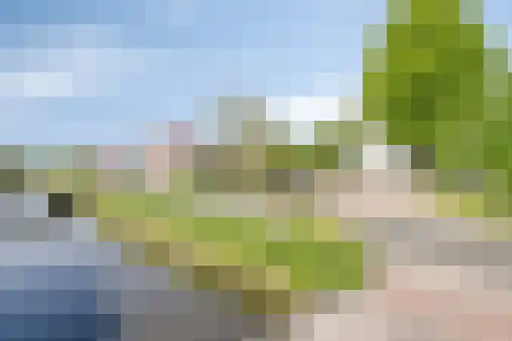 Spoorlaan 1 A Vinkeveen thumbnail 9